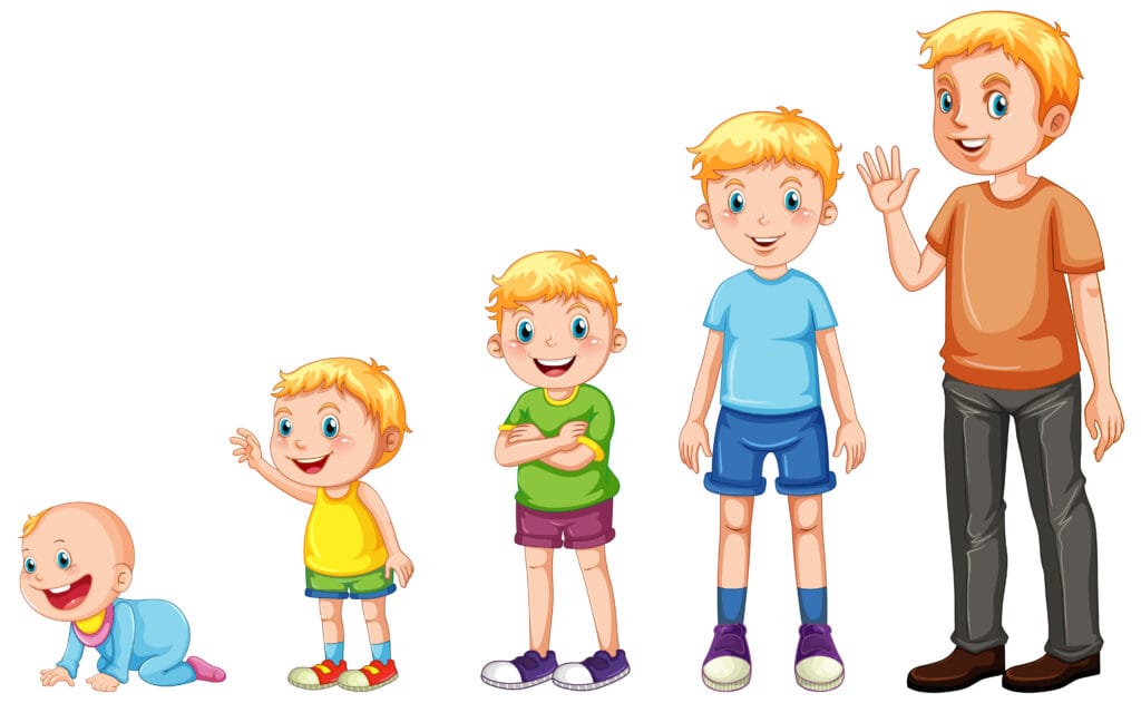 Stages of Child growth illustration
